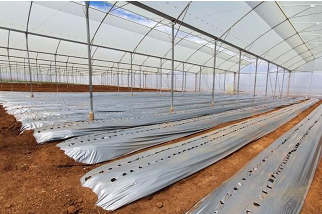 Mulch Film Mulch Film