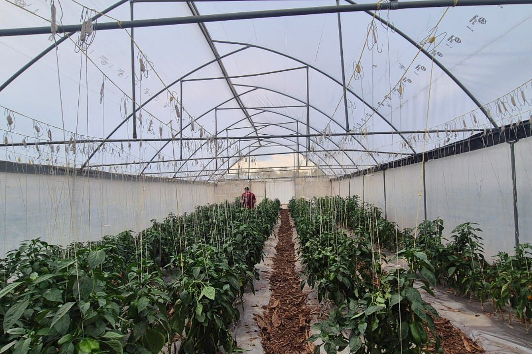 Agriplast UV Open Agriplast UV Open