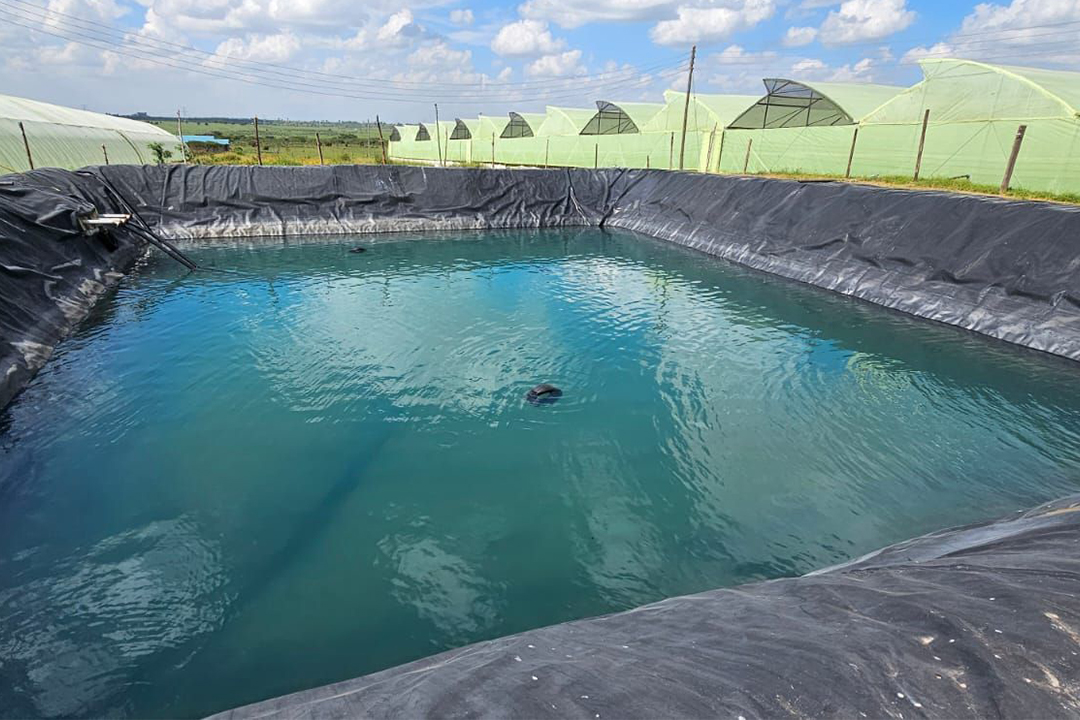 Hdpe Geomembrane Damliners Hdpe Geomembrane Damliners