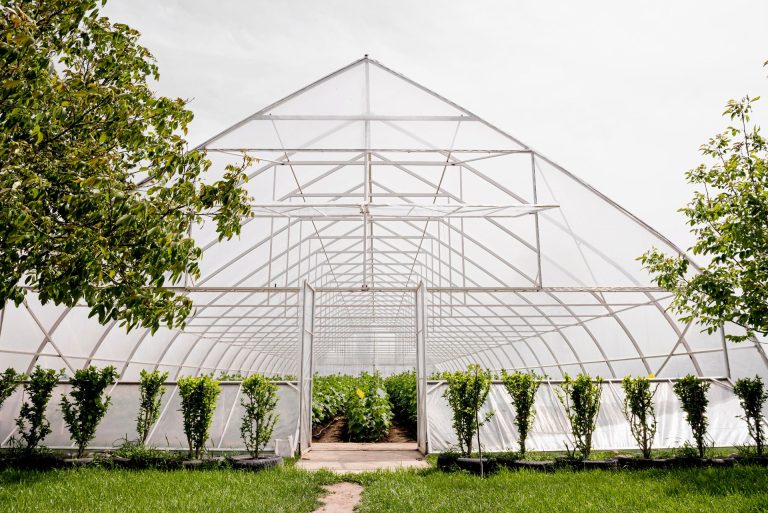Choosing the Right Greenhouse Film