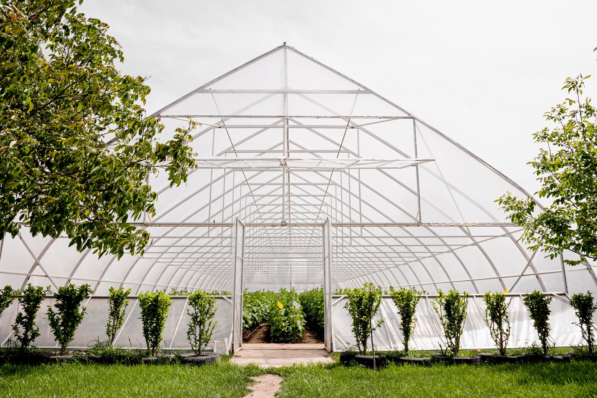 Choosing the Right Greenhouse Film
