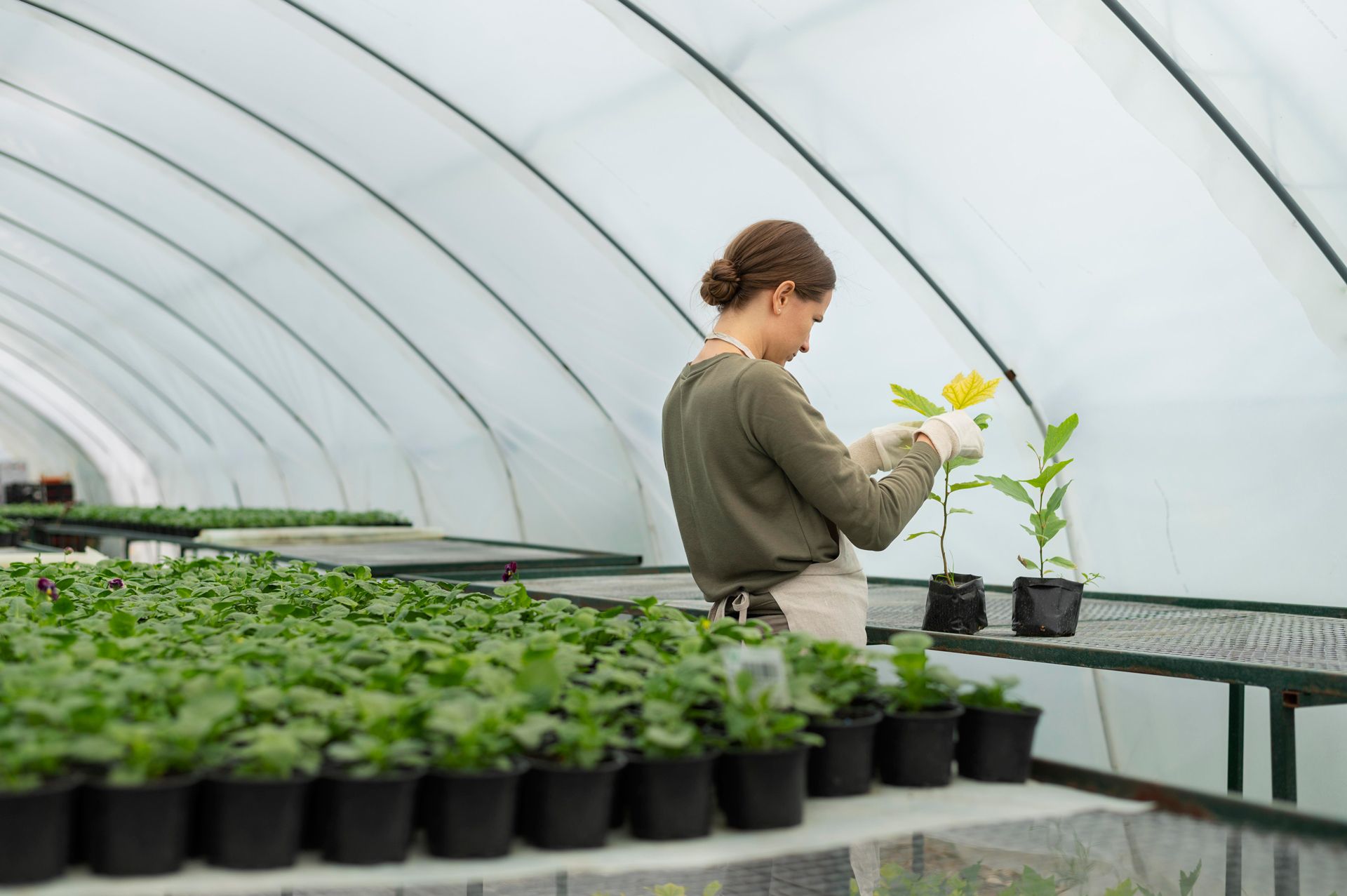 Boost Yields with Quality Plastic